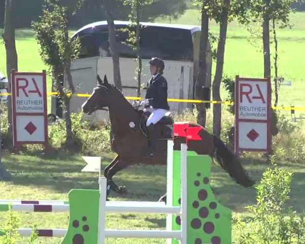 Reitturnier Pfullendorf 2015