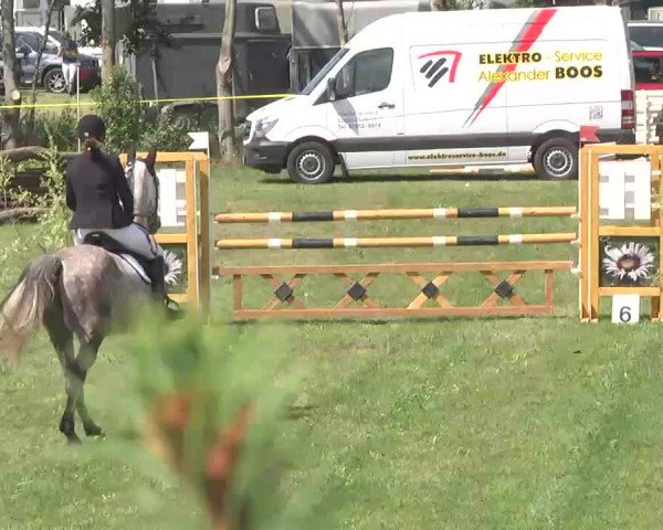Reitturnier Pfullendorf 2015