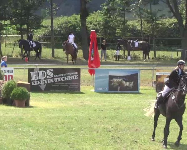 Reitturnier Pfullendorf 2015