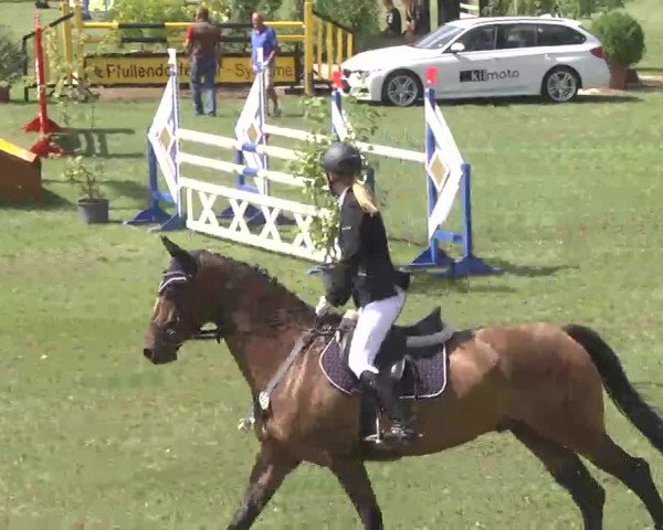 Reitturnier Pfullendorf 2015