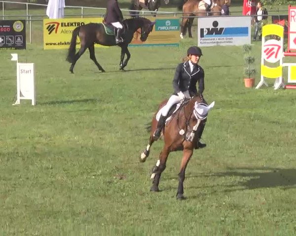 Reitturnier Pfullendorf 2015