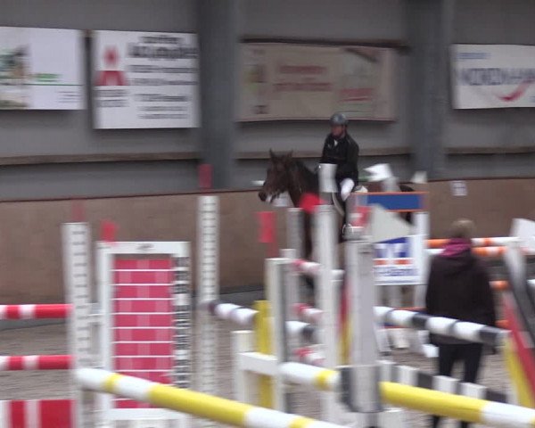 Reitturnier Pasewalk 2021