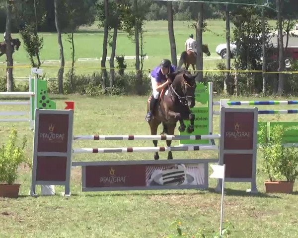 Reitturnier Pfullendorf 2015