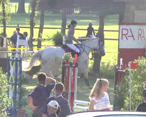 Reitturnier Pfullendorf 2015