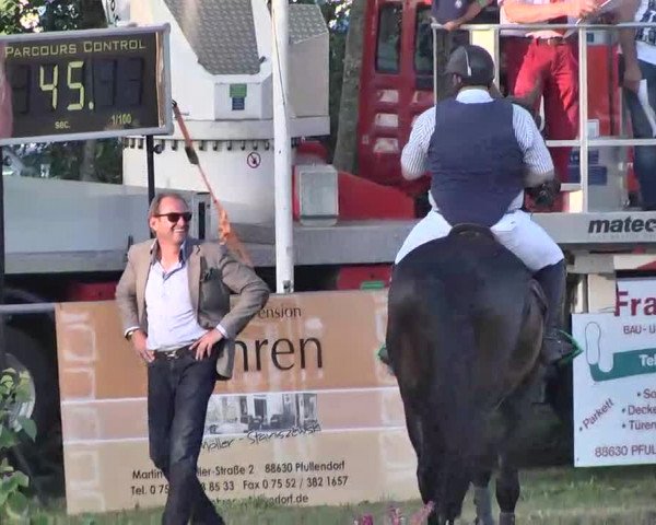 Reitturnier Pfullendorf 2015