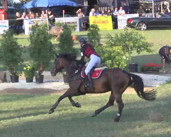 Reitturnier Pfullendorf 2015