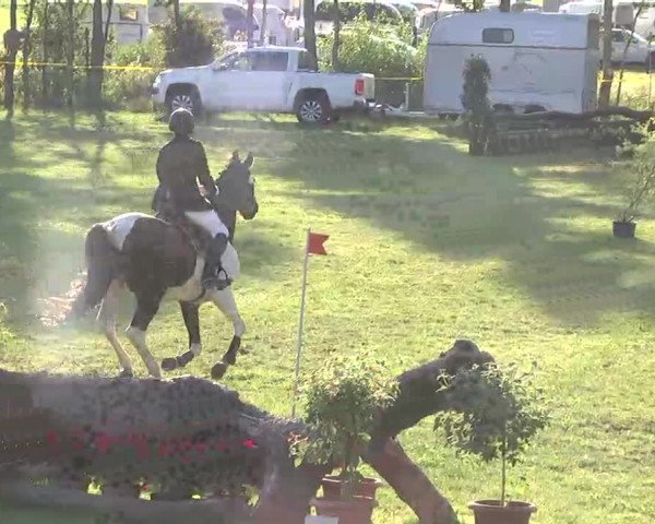Reitturnier Pfullendorf 2015