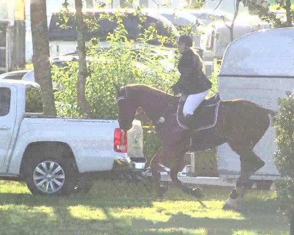 Reitturnier Pfullendorf 2015