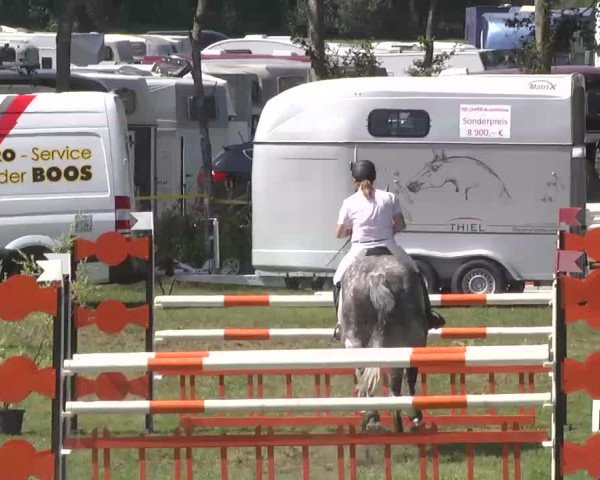 Reitturnier Pfullendorf 2015