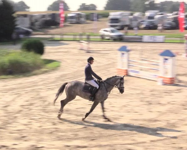 Reitturnier Recklinghausen 2015
