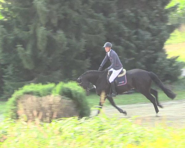 Reitturnier Recklinghausen 2015