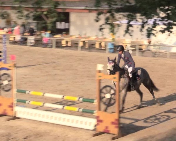 Reitturnier Recklinghausen 2015