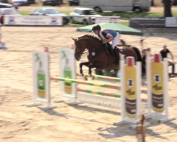 Reitturnier Recklinghausen 2015
