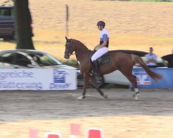Reitturnier Recklinghausen 2015