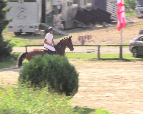 Reitturnier Recklinghausen 2015