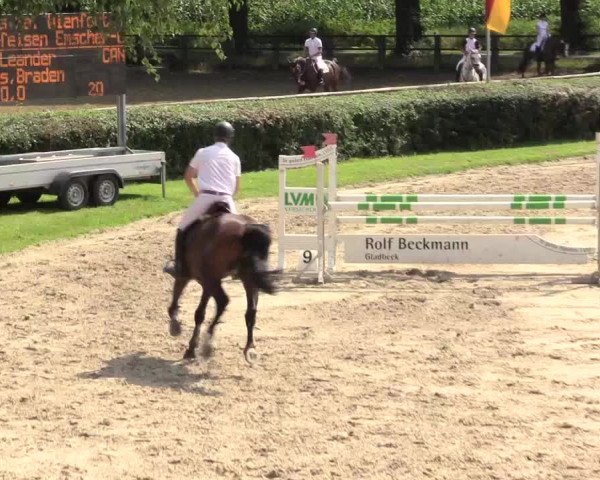 Reitturnier Recklinghausen 2015