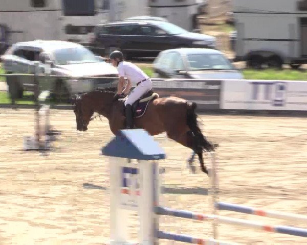 Reitturnier Recklinghausen 2015