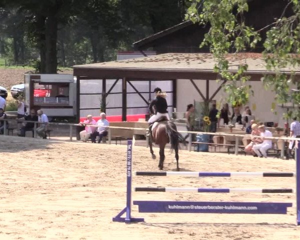 Reitturnier Recklinghausen 2015