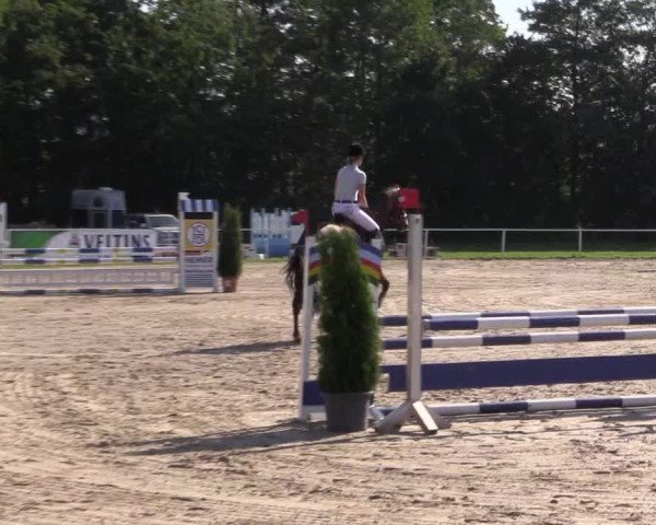 Mendener Reitertage 2015