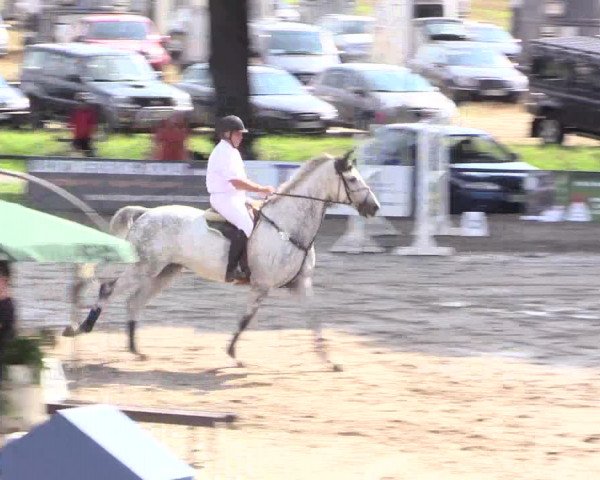 Reitturnier Recklinghausen 2015