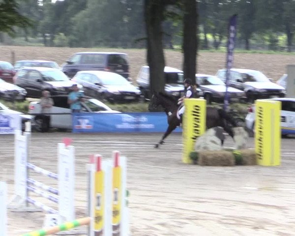 Reitturnier Recklinghausen 2015