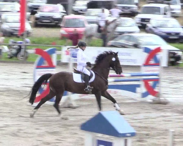 Reitturnier Recklinghausen 2015