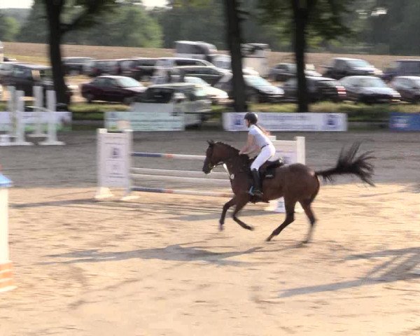 Reitturnier Recklinghausen 2015