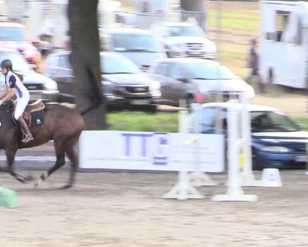 Reitturnier Recklinghausen 2015