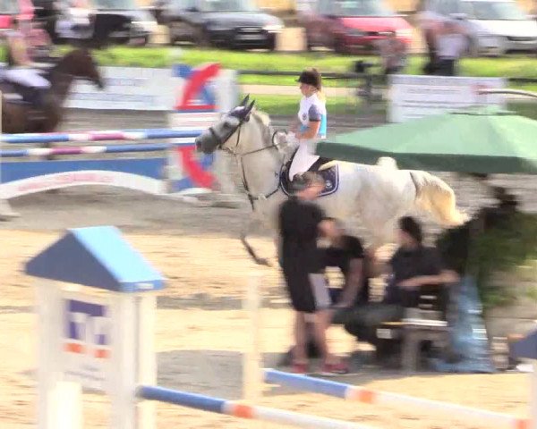 Reitturnier Recklinghausen 2015