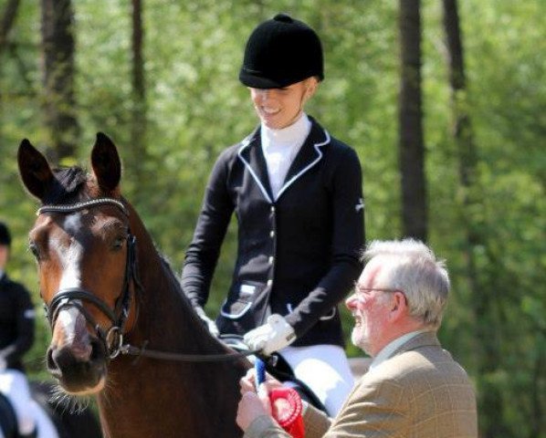 dressage horse Hoffnungsträger der Harmonie (Oldenburg, 2008, from Hoftanz)