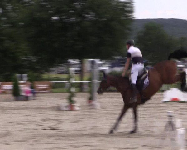 Mendener Reitertage 2015