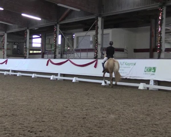 Hallen Dressur-Late-Entry Marl, Hof Rohmann 2021