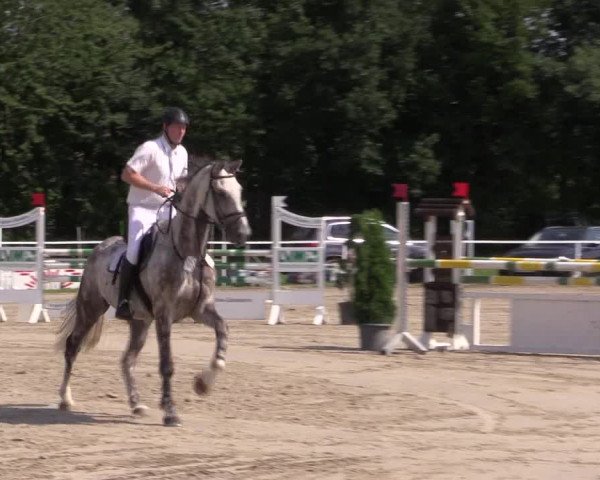 Mendener Reitertage 2015