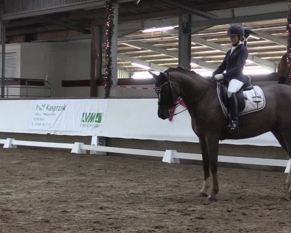 Hallen Dressur-Late-Entry Marl, Hof Rohmann 2021