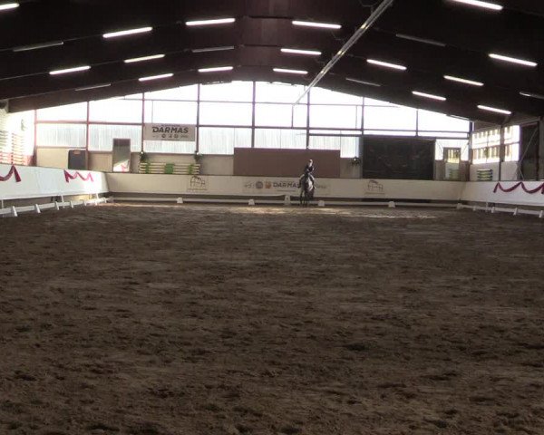 Hallen Dressur-Late-Entry Marl, Hof Rohmann 2021