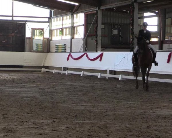 Hallen Dressur-Late-Entry Marl, Hof Rohmann 2021