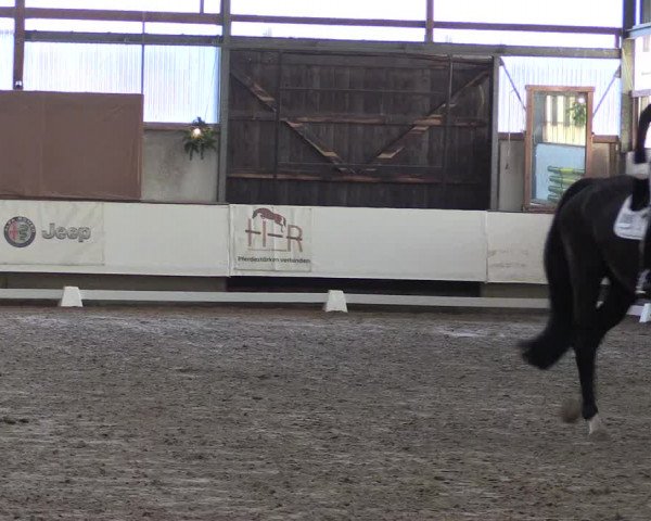 Hallen Dressur-Late-Entry Marl, Hof Rohmann 2021