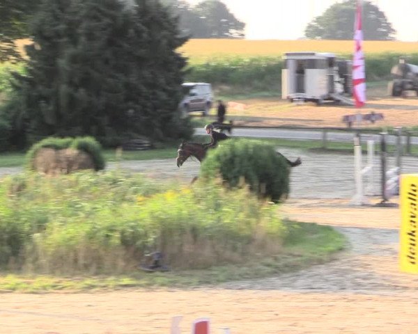 Reitturnier Recklinghausen 2015