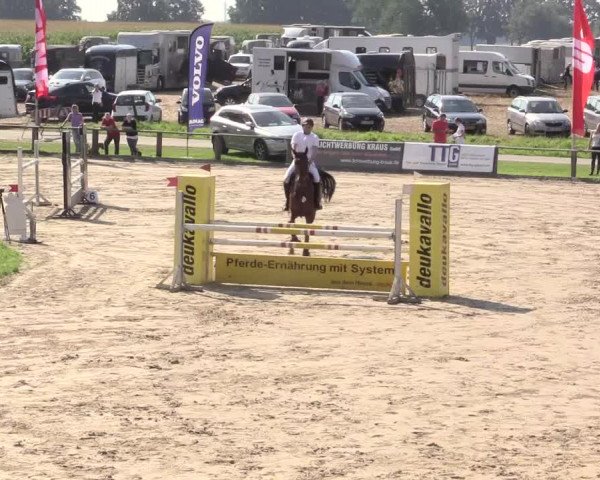 Reitturnier Recklinghausen 2015