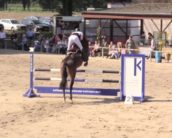 Reitturnier Recklinghausen 2015