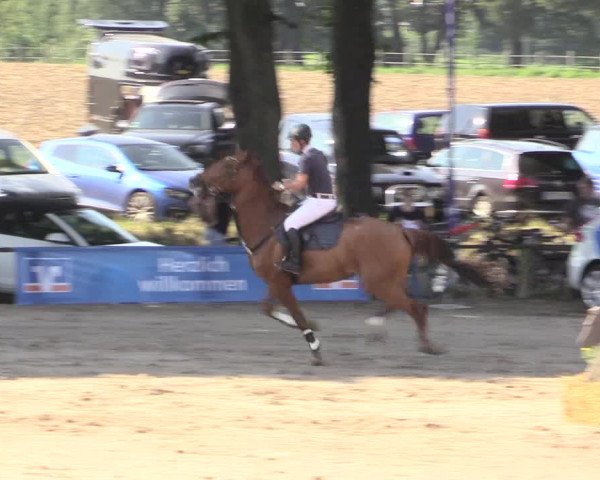 Reitturnier Recklinghausen 2015