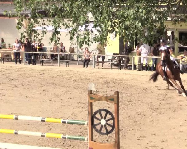 Reitturnier Recklinghausen 2015
