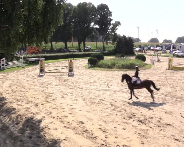Reitturnier Recklinghausen 2015