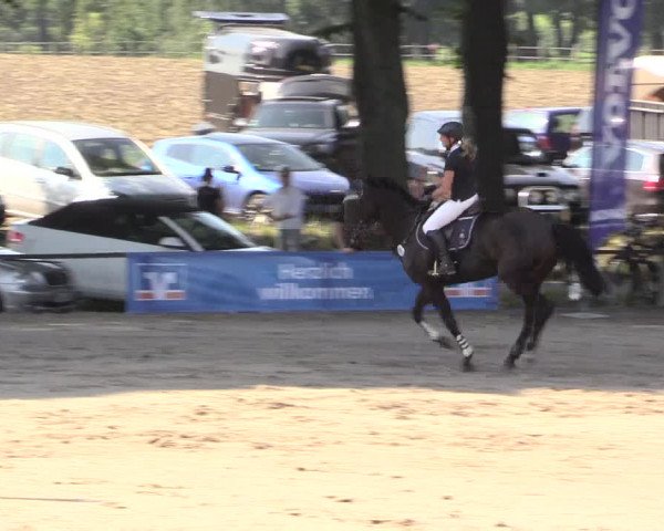 Reitturnier Recklinghausen 2015