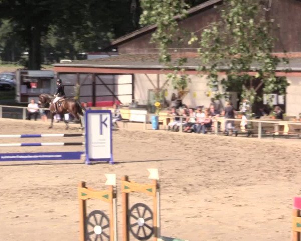Reitturnier Recklinghausen 2015