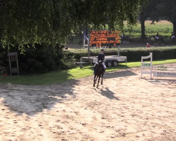 Reitturnier Recklinghausen 2015