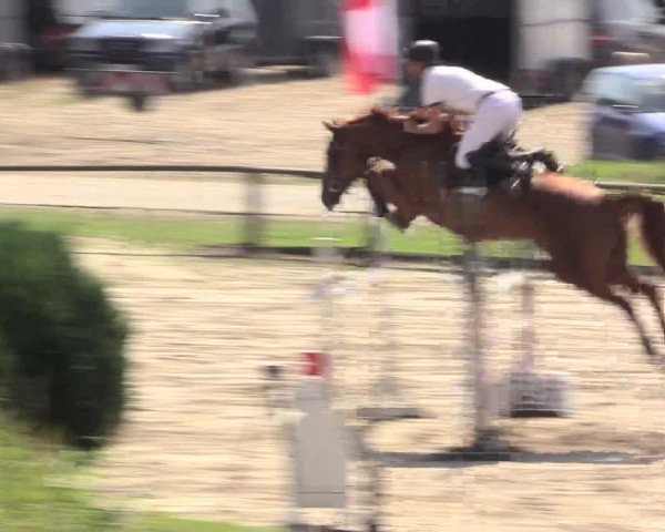 Reitturnier Recklinghausen 2015