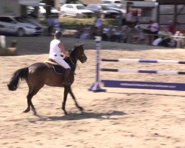Reitturnier Recklinghausen 2015