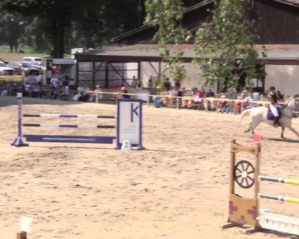 Reitturnier Recklinghausen 2015