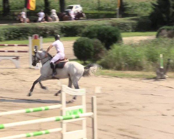 Reitturnier Recklinghausen 2015